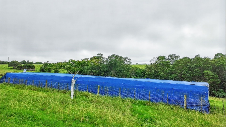 Commercial Property for Sale in Rondevlei Western Cape